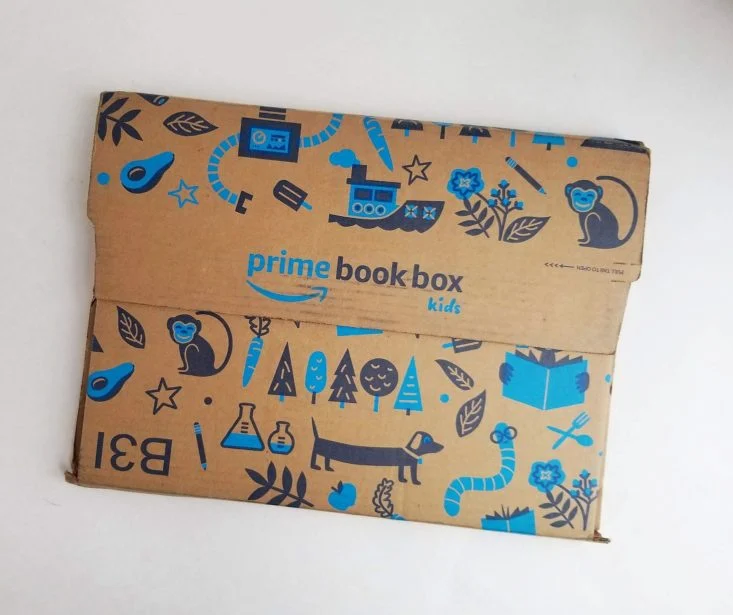 Amazon Prime Book Box