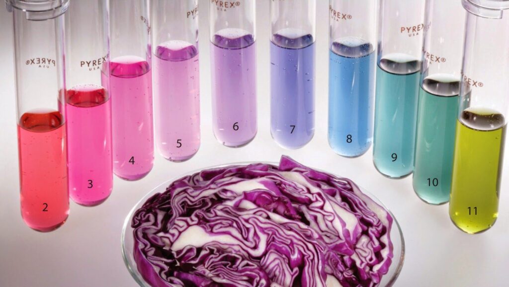 Science Activities to Create Purple Things