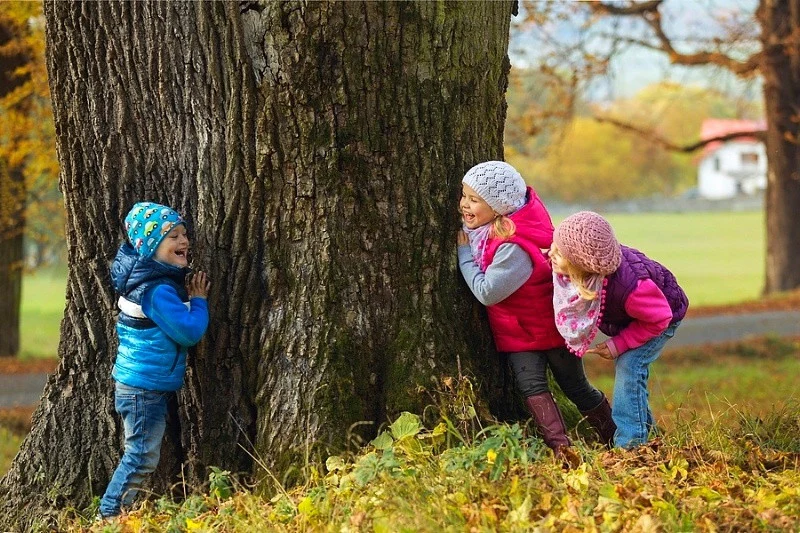 Sensory Hide-and-Seek