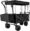 Wagon Pushcart