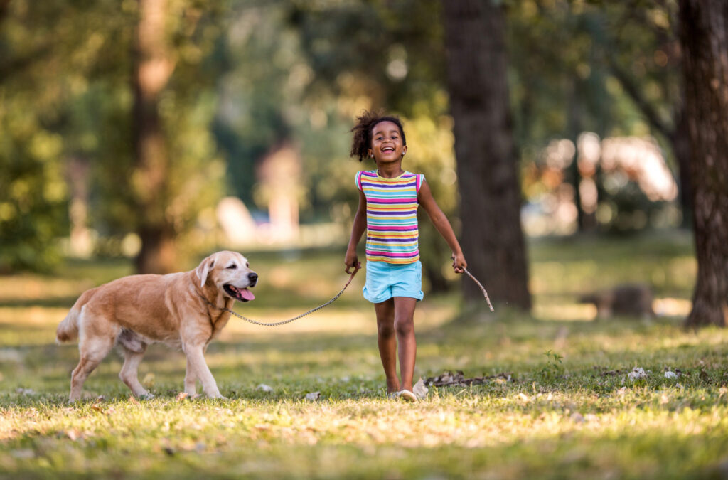 Walking Dogs or Feeding Pets