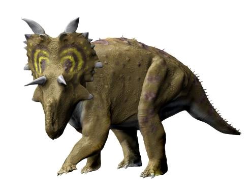 Xenoceratops