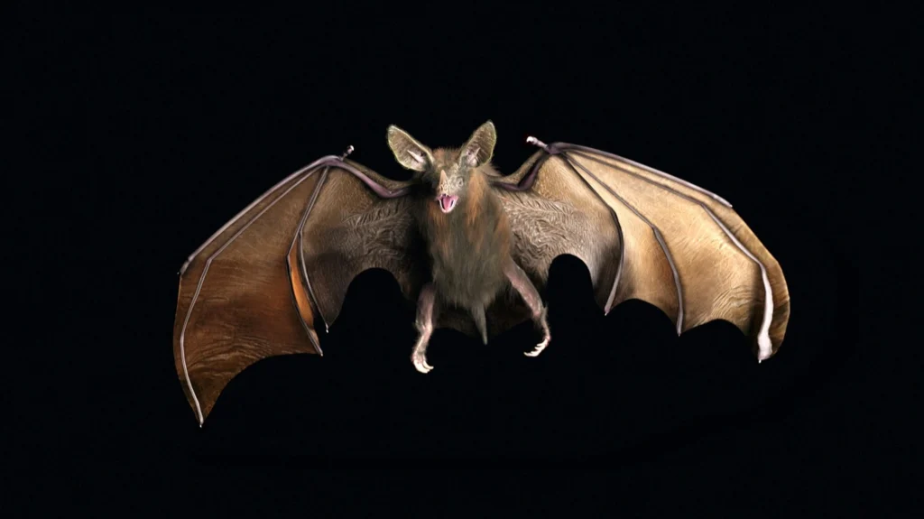 vampire-bat.jpg