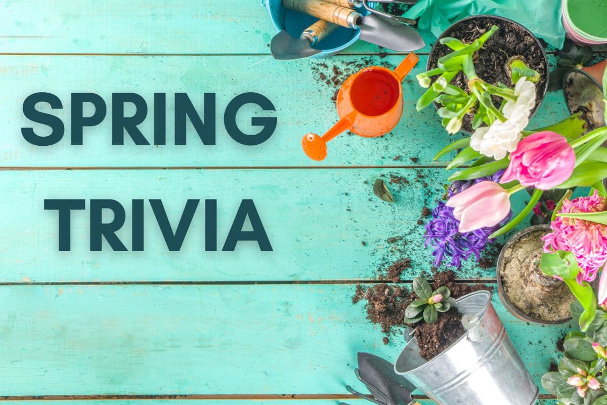 Interesting Spring Trivia Questions & Answers