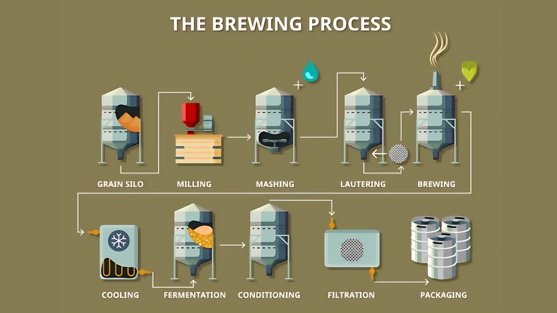 Brewing Process Trivia