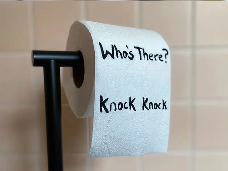 Classic Toilet Paper Jokes