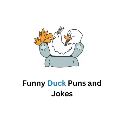 Duck Puns for Kids