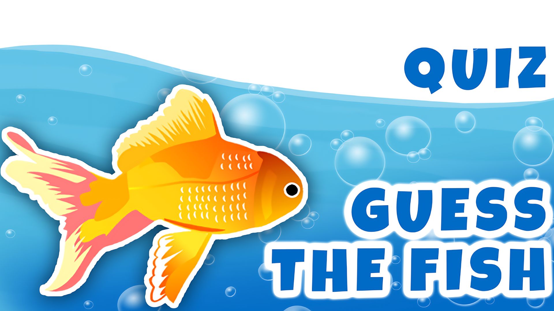 Interesting Fish Trivia Questions & Answers