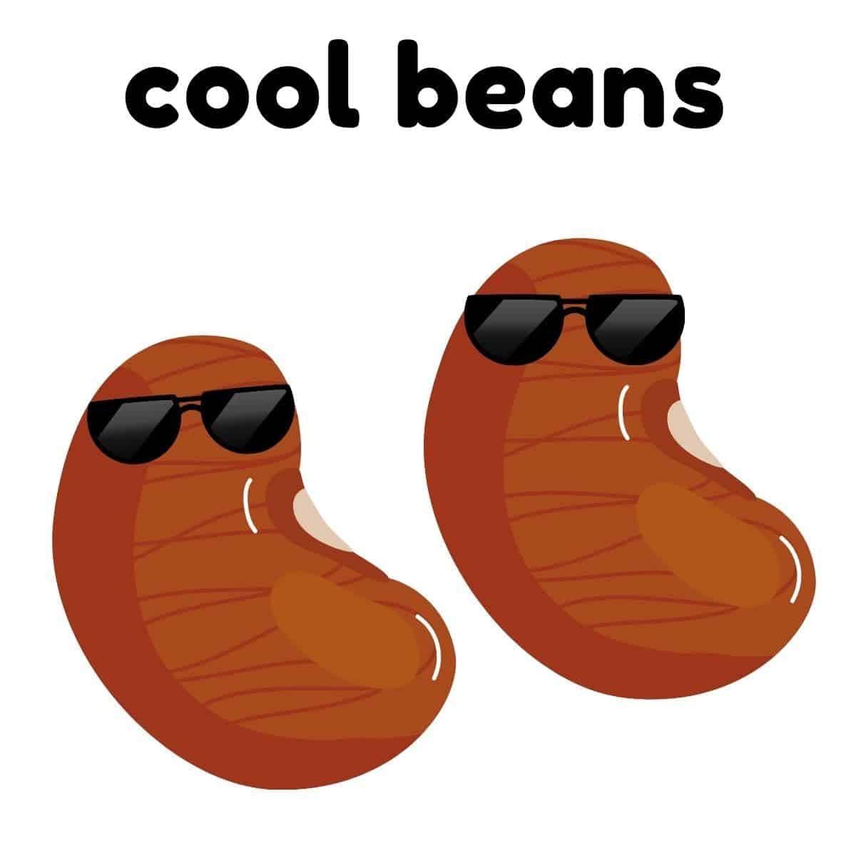 two-beans-sunglasses