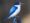 Forest_Kingfisher