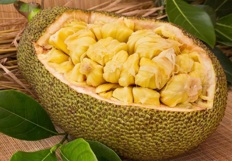 Jackfruit