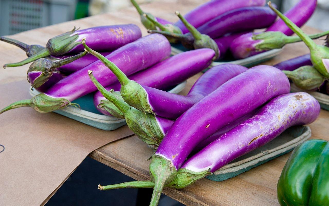 Japanese_Eggplant