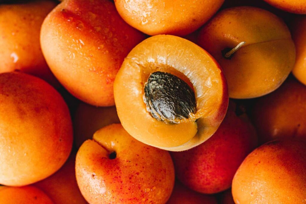 Apricot