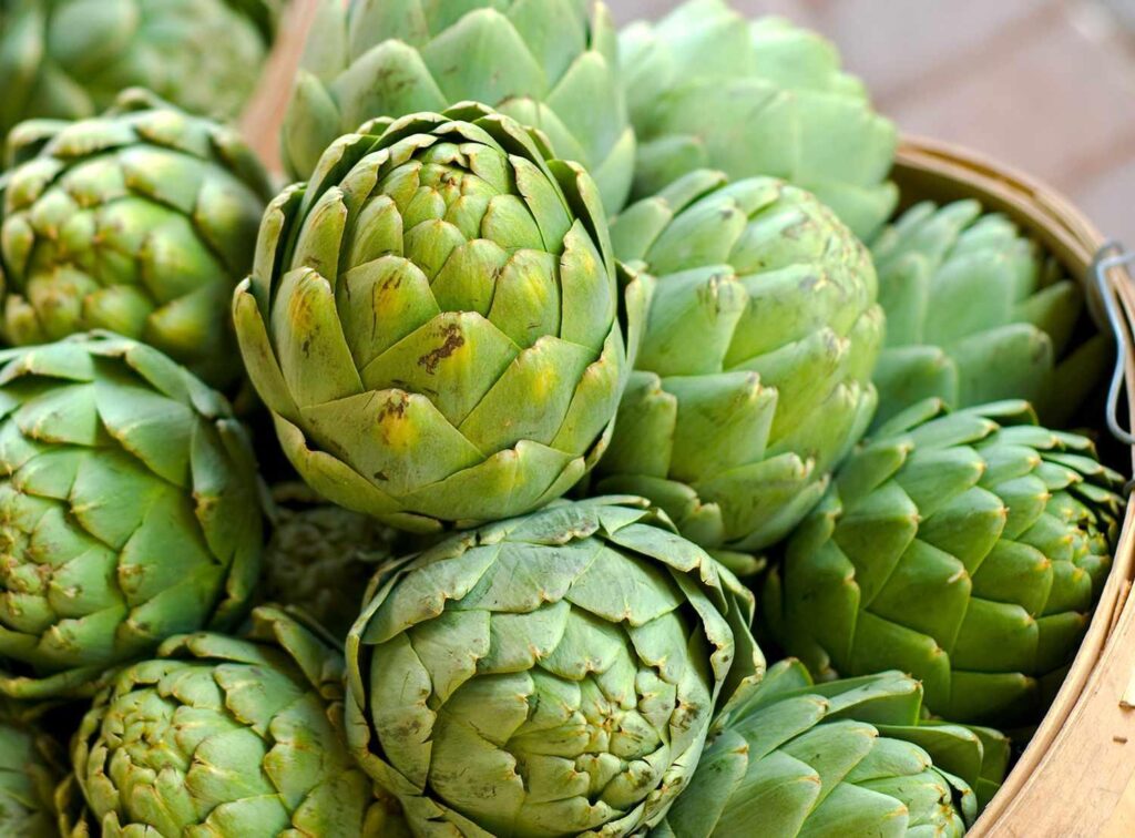 Artichoke