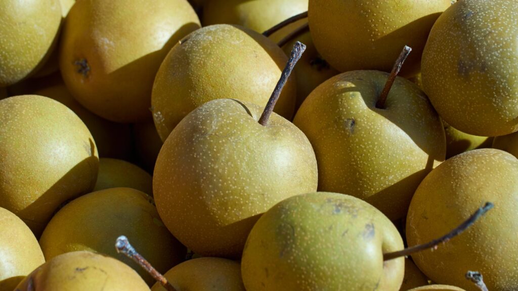 Asian_Pear