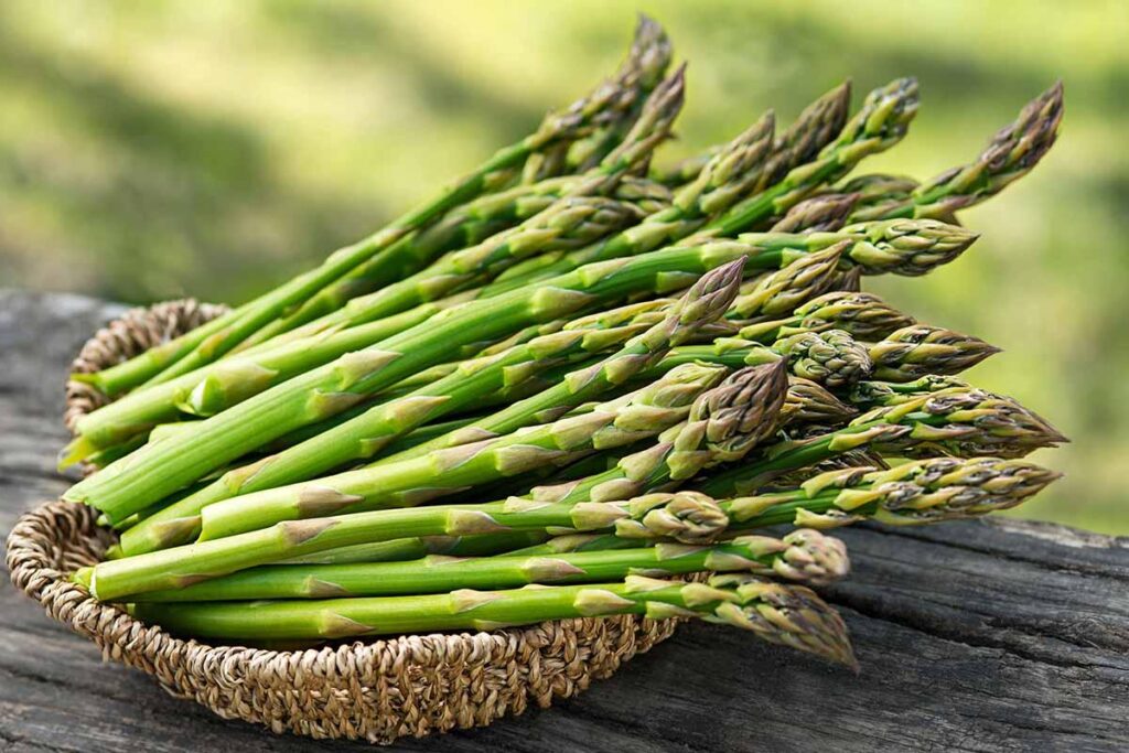 Asparagus