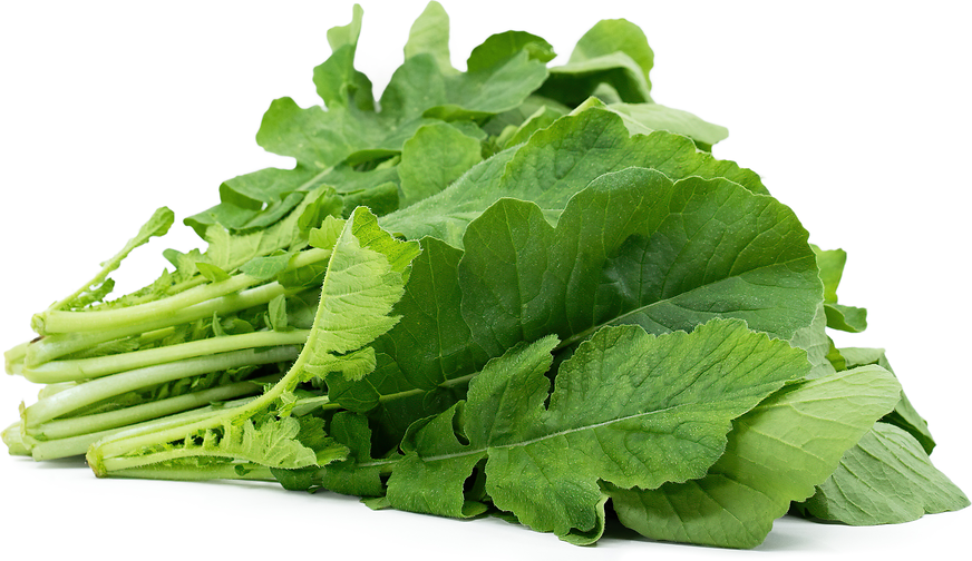 Daikon_Greens