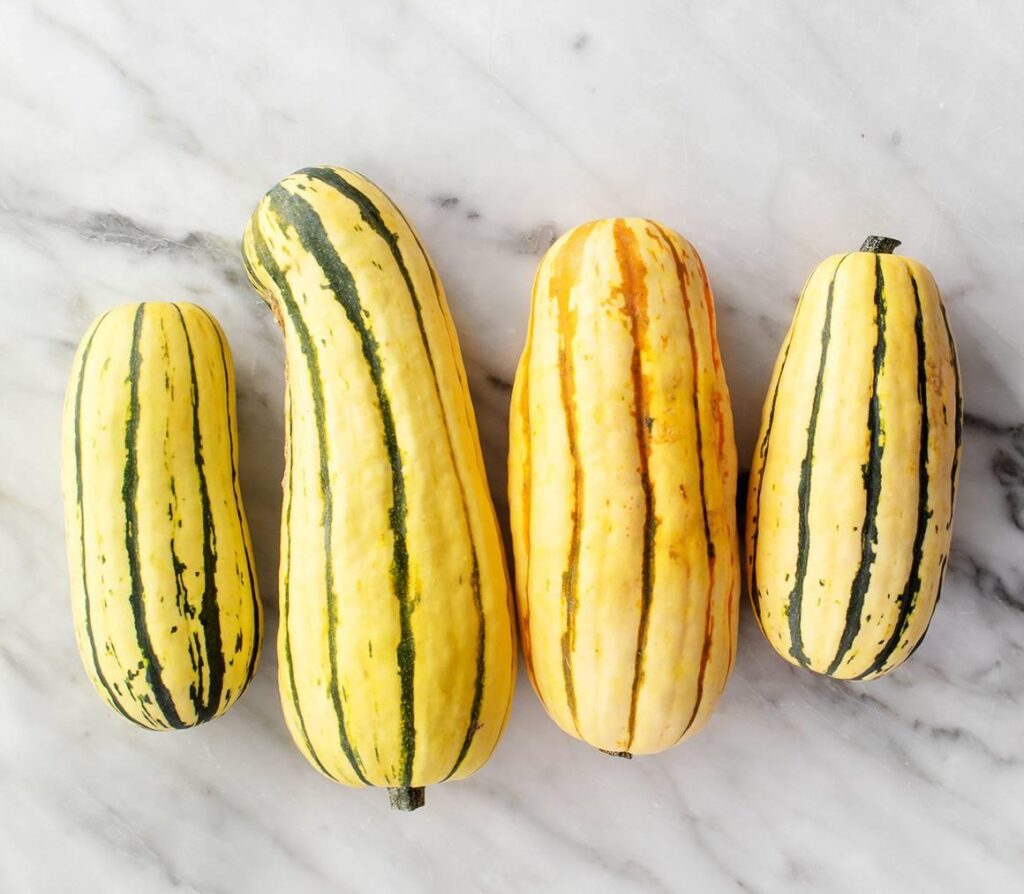 Delicata_Squash