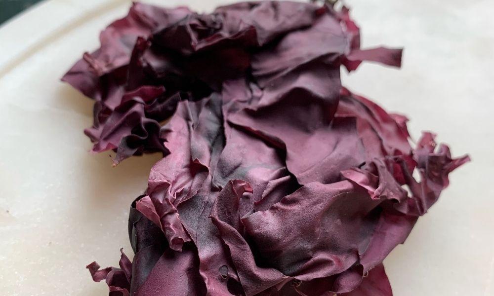 Dulse_Sea_Vegetable