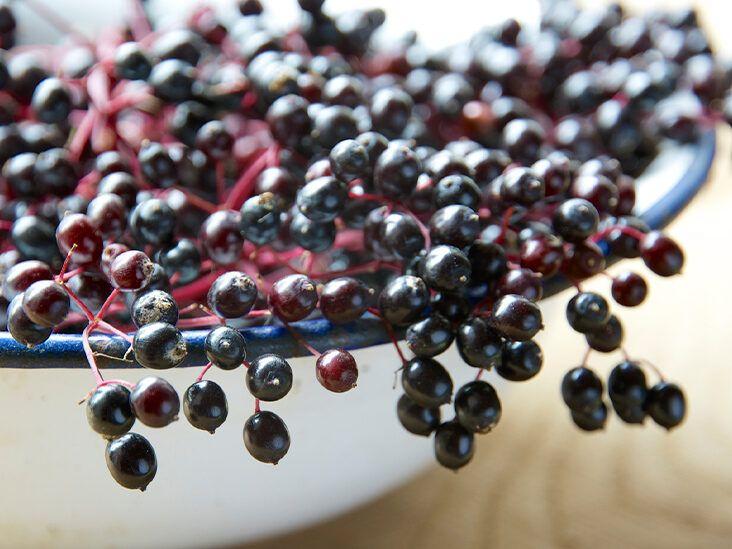 Elderberry