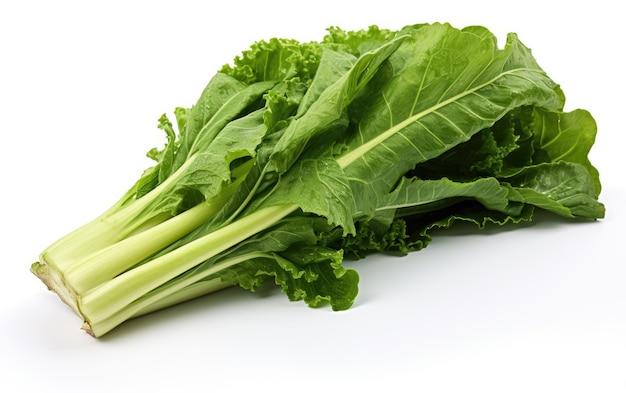 Escarole