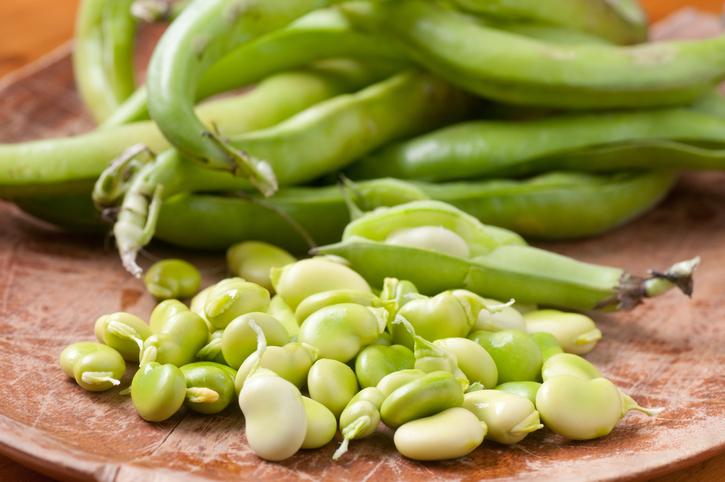 Fava_Beans