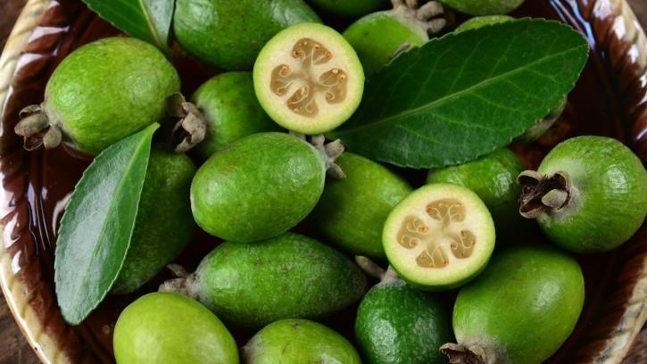 Feijoa