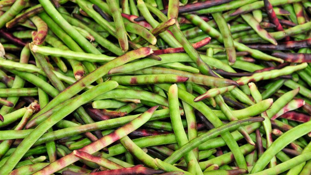 Field_Peas