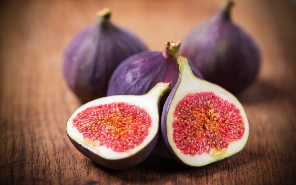 Fig