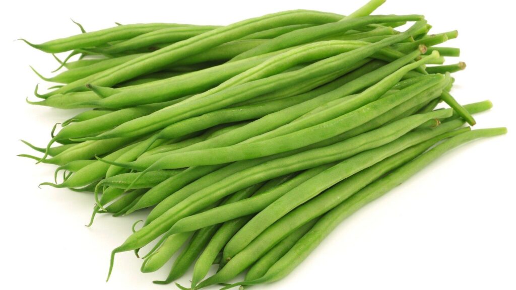 Haricot_Beans