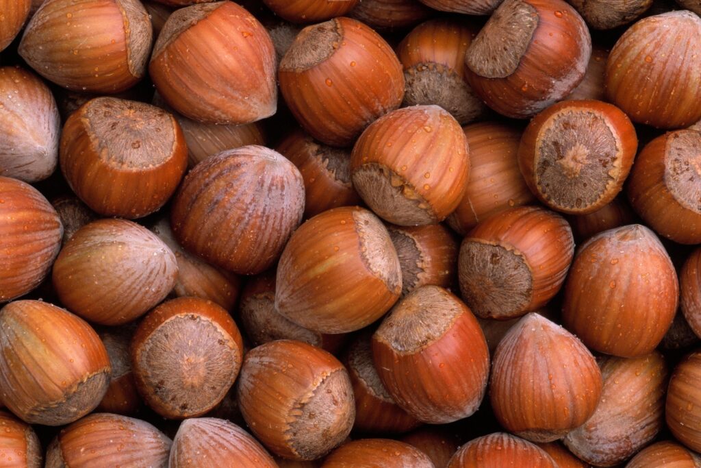 Hazelnut