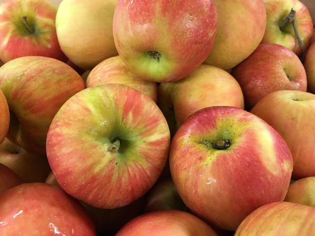 Honeycrisp_Apple