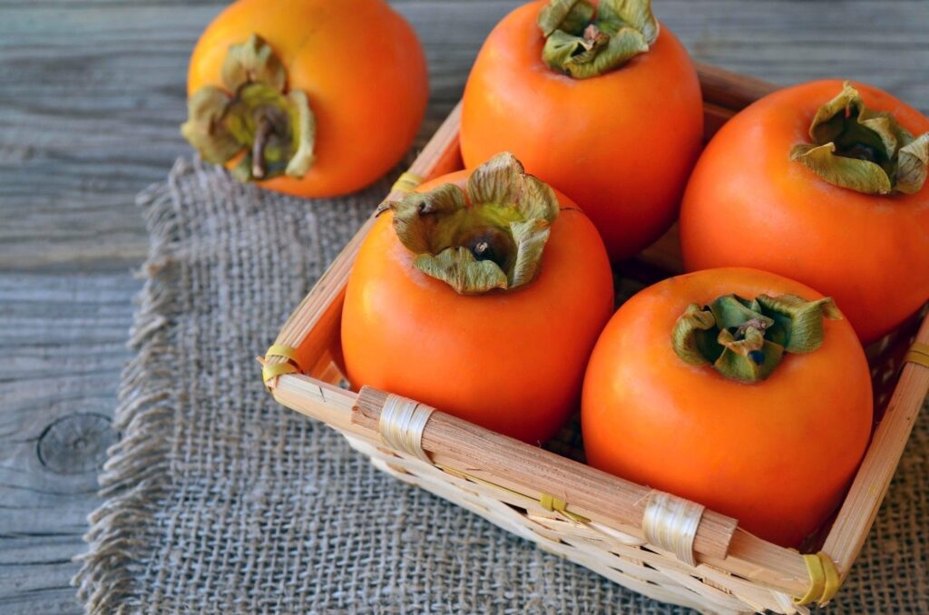 Japanese_Persimmon