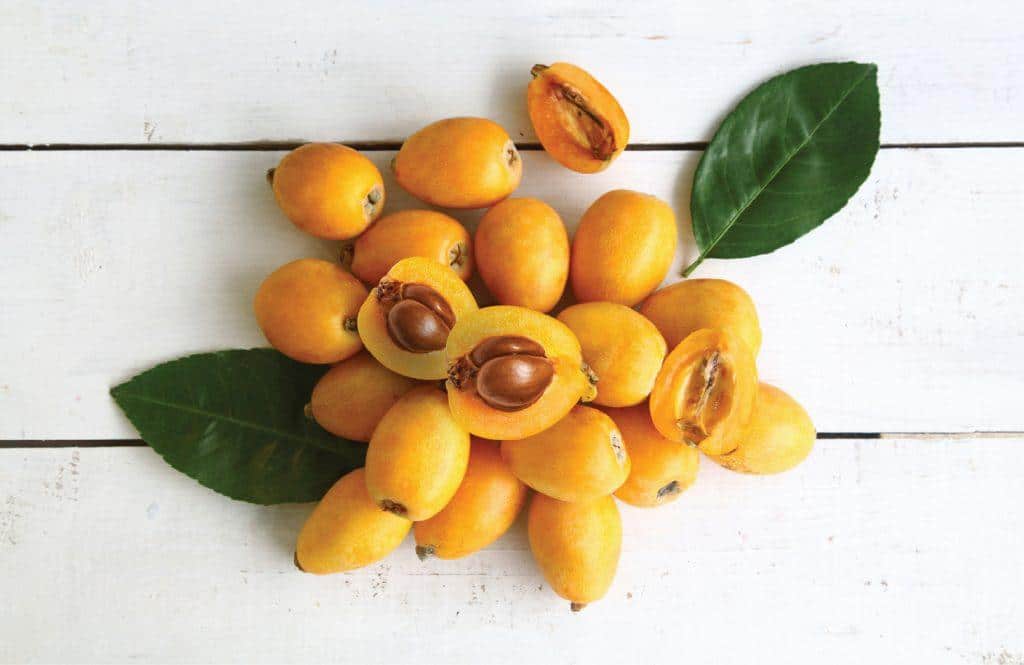 Kumquat