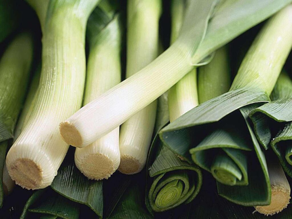 Leek