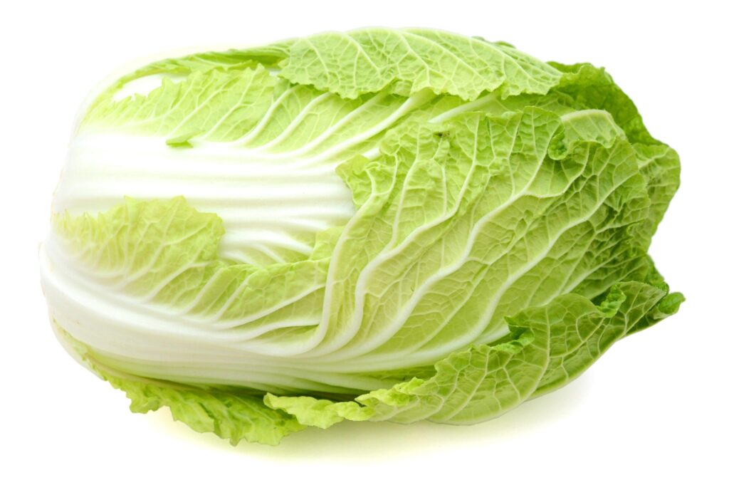 Napa_Cabbage