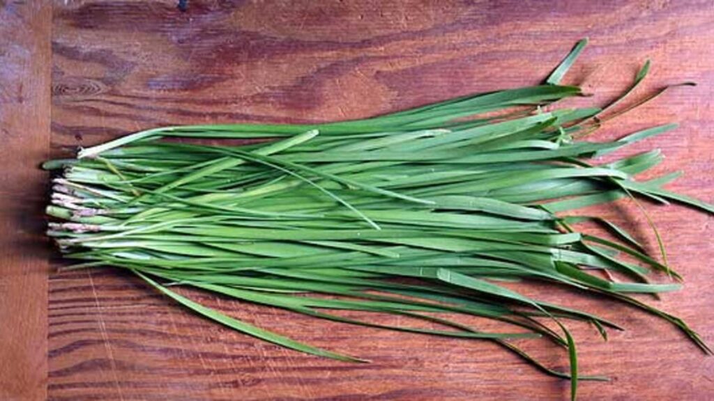 Nira_Garlic_Chives