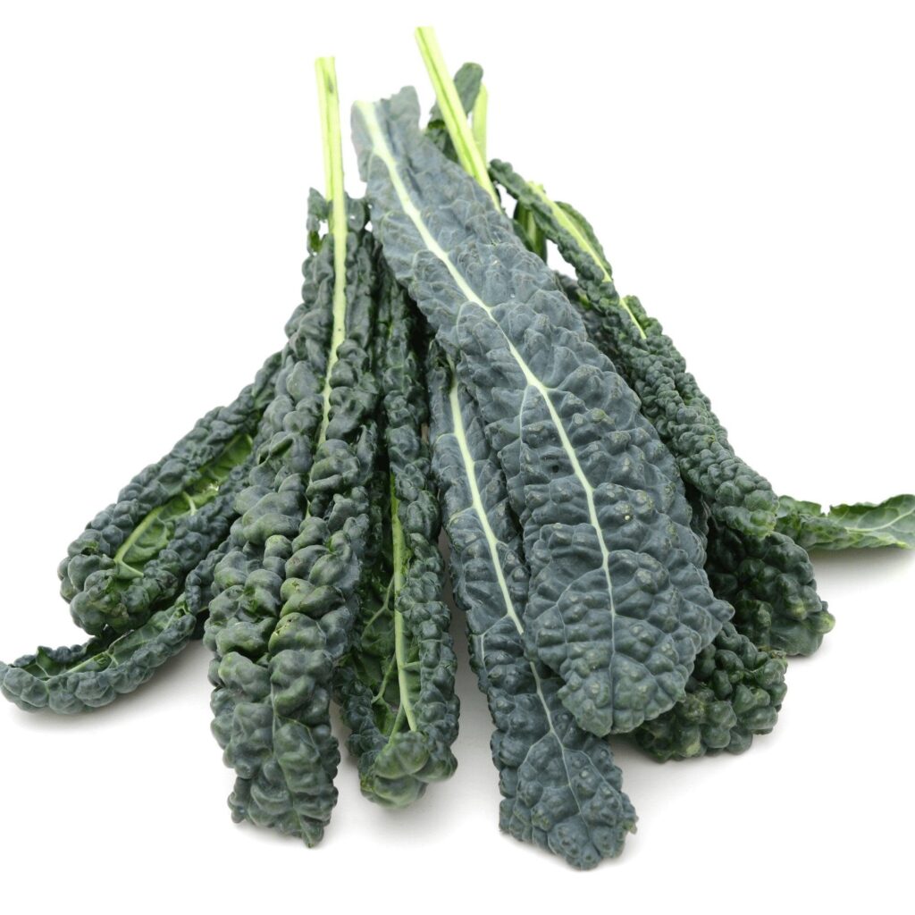 Norfolk_Black_Kale