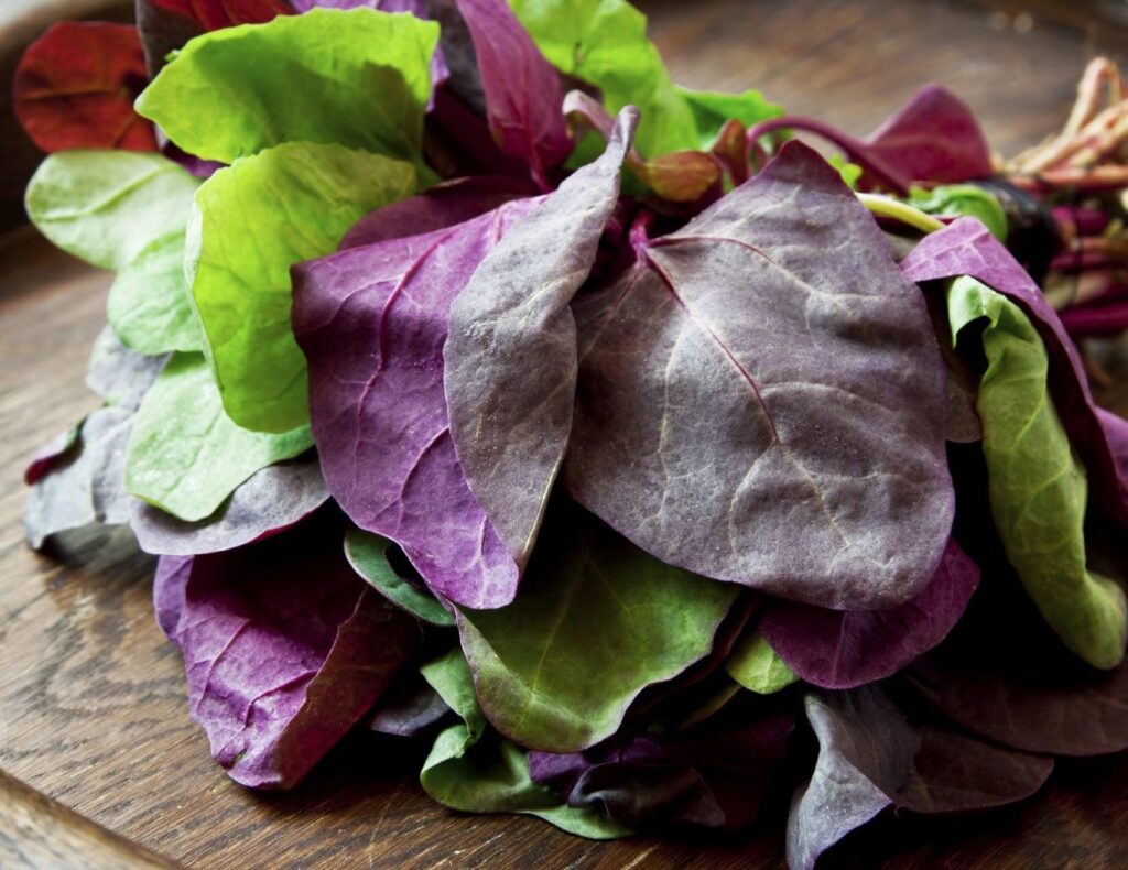 Orach