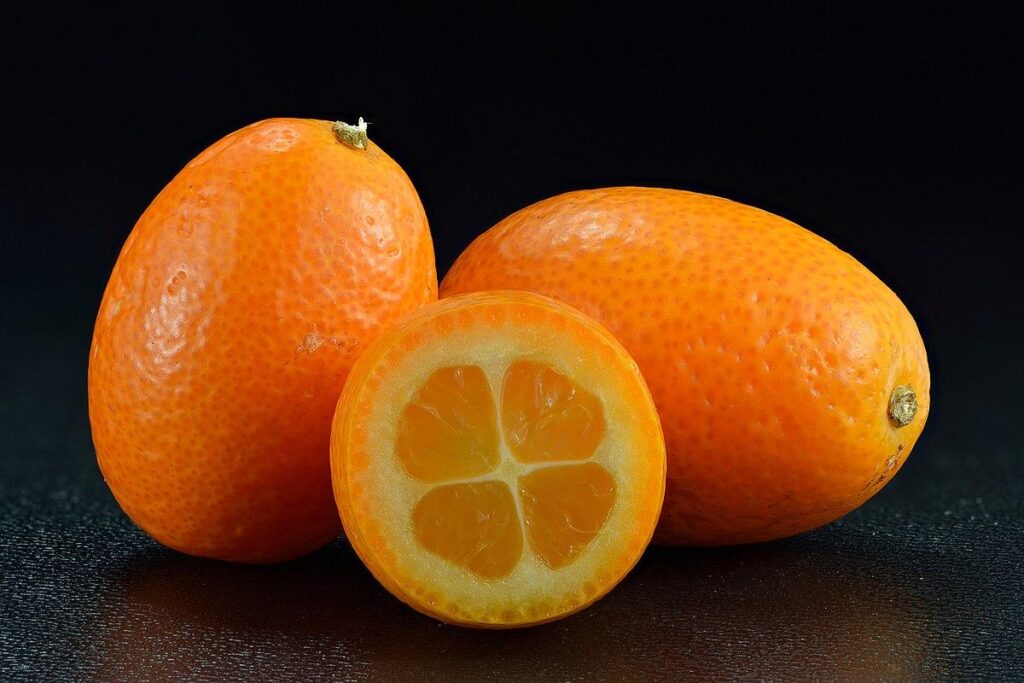 Oval_Kumquat