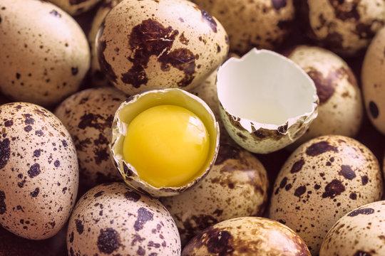 Quail_Eggs