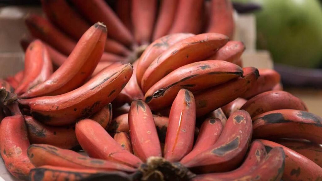 Red_Banana