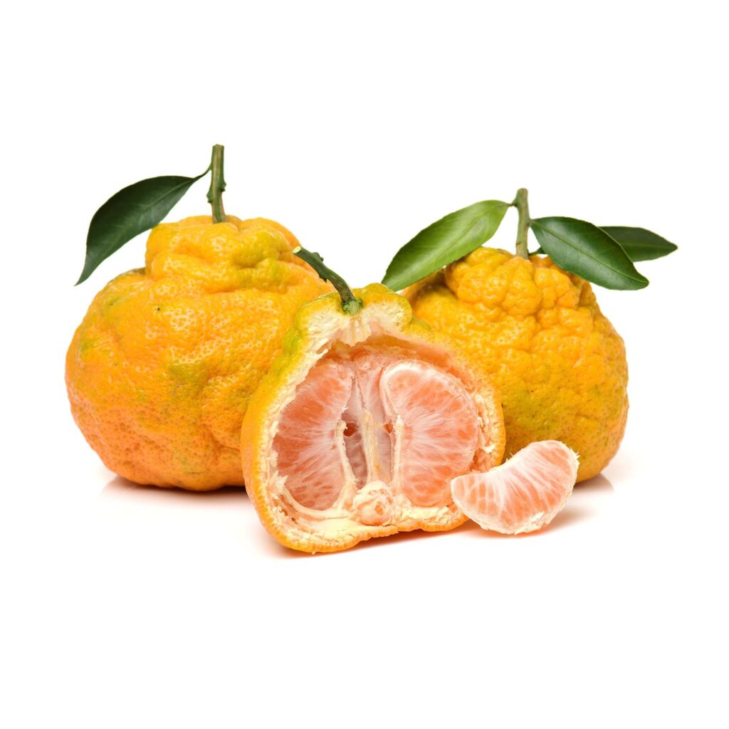 Ugli_Fruit