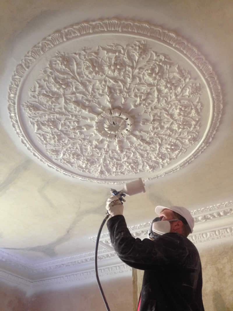 Cleaning the Plaster Rose