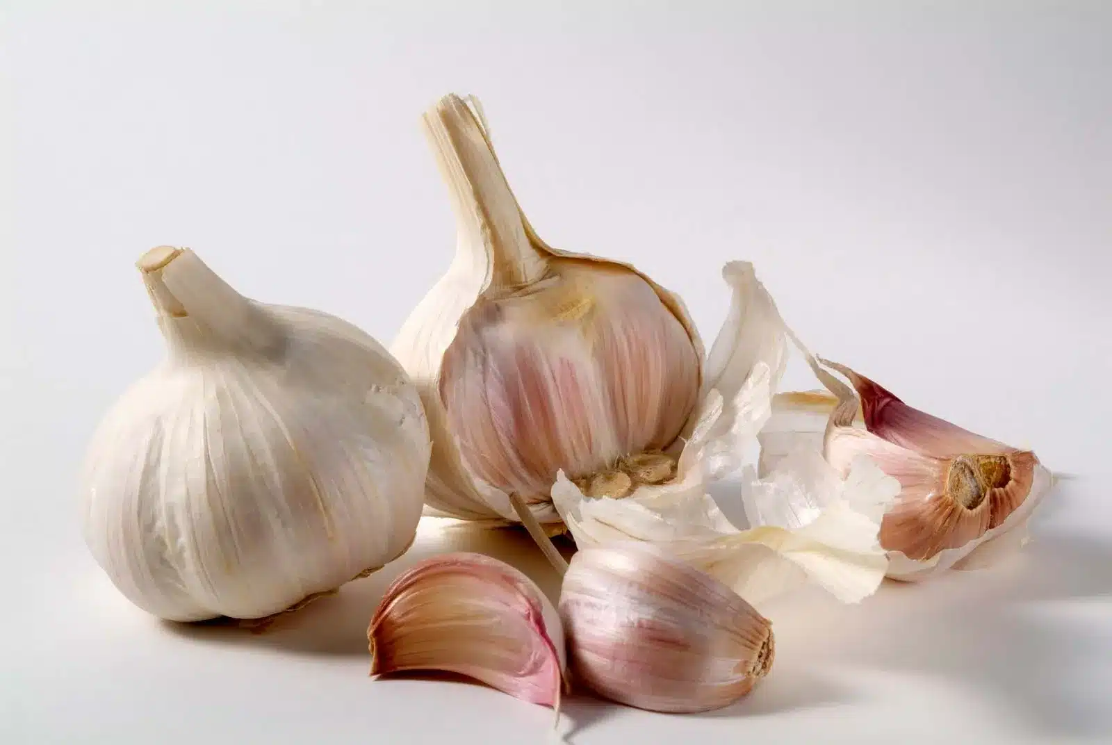 Historical Use of Garlic in Medicine