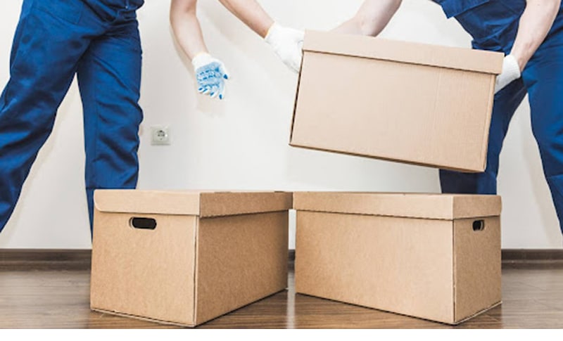 Professional Packing Services