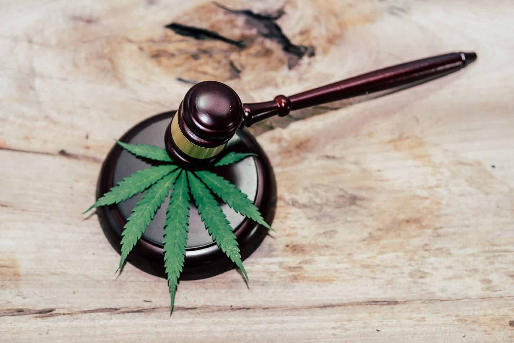 Understanding Pennsylvania’s Cannabis Laws