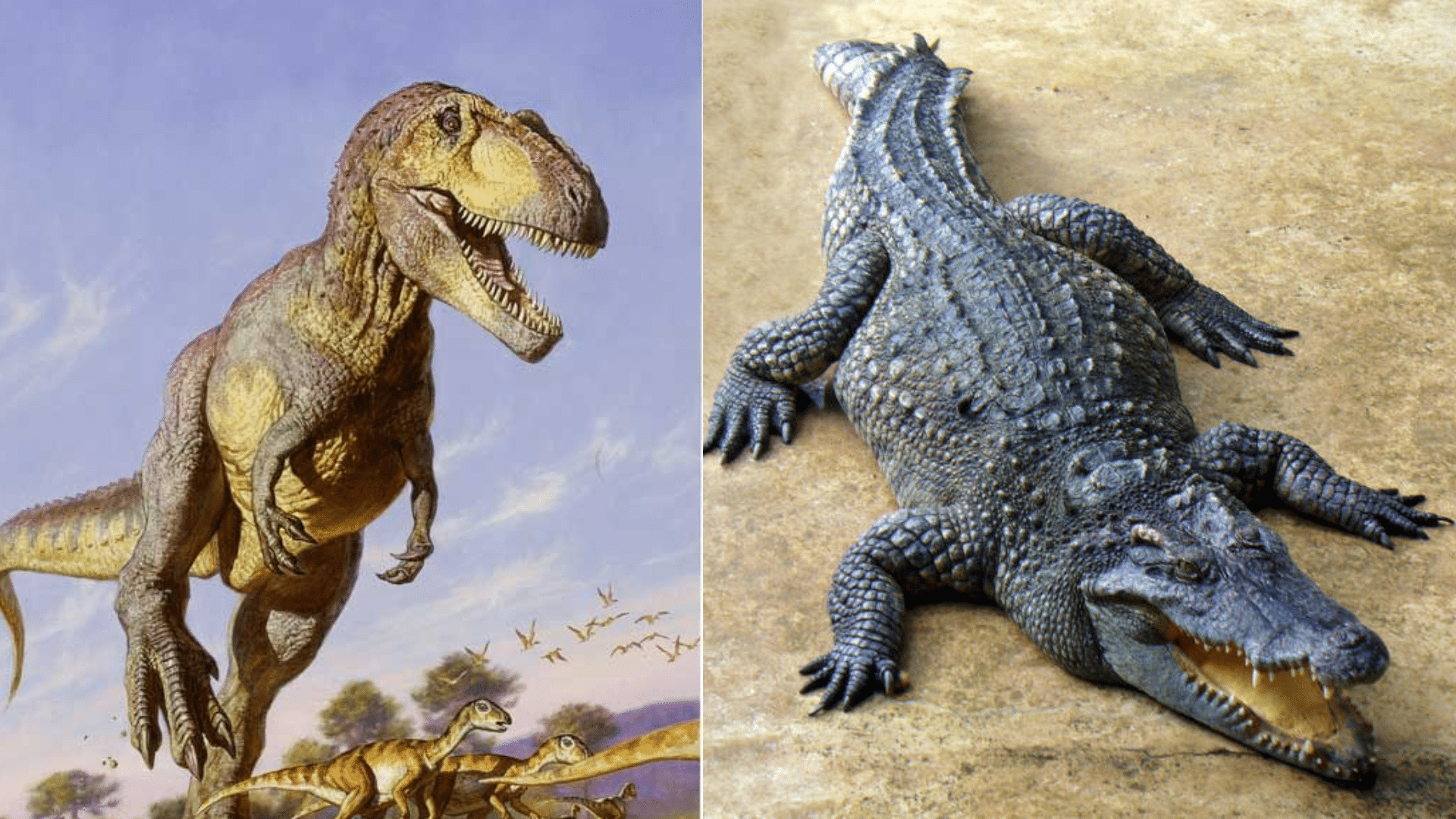 Comprehension_Alligators_vs_Dinosaurs