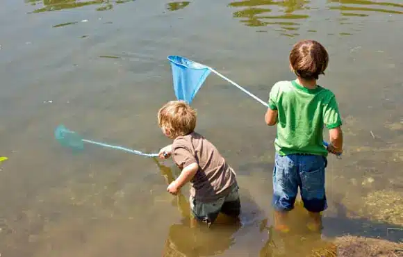 Fun Activities to Do at the Pond