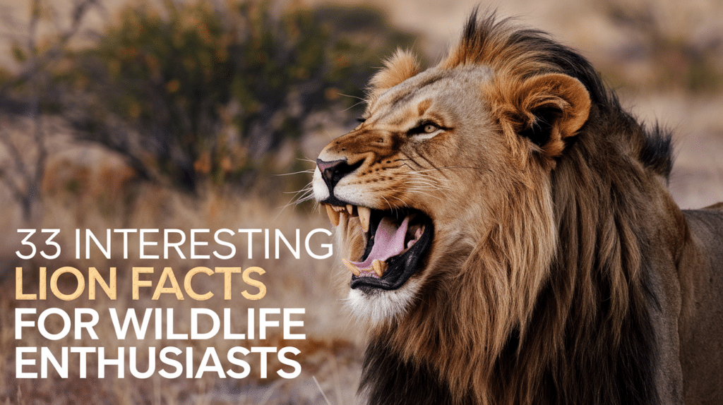 33 Interesting Lion Facts for Wildlife Enthusiasts